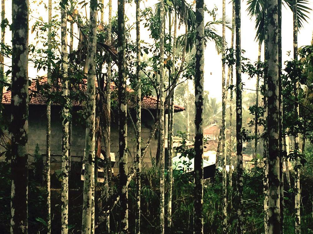 Отель Vedanta Wake Up Wayanad Edakkal Caves Ambalavayal Экстерьер фото